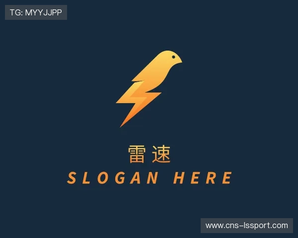 介绍雷速
